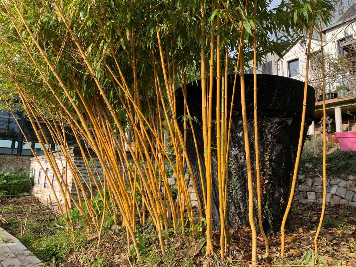 Eco Studios Mezzanine Wifi Piscine Stationnement Gratuit Terrasse Dans Jardin Rouen Zewnętrze zdjęcie